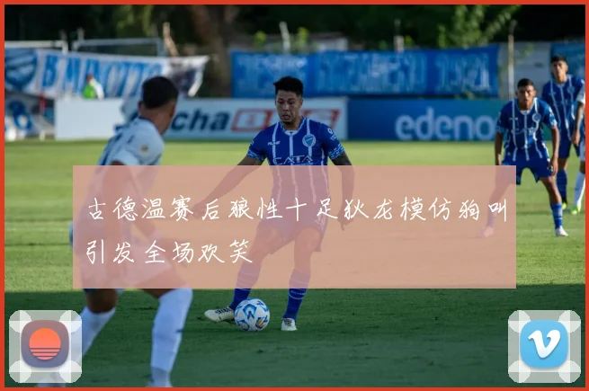 古德温赛后狼性十足狄龙模仿狗叫引发全场欢笑