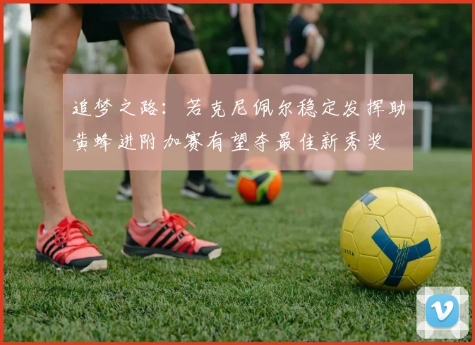 追梦之路：若克尼佩尔稳定发挥助黄蜂进附加赛有望夺最佳新秀奖