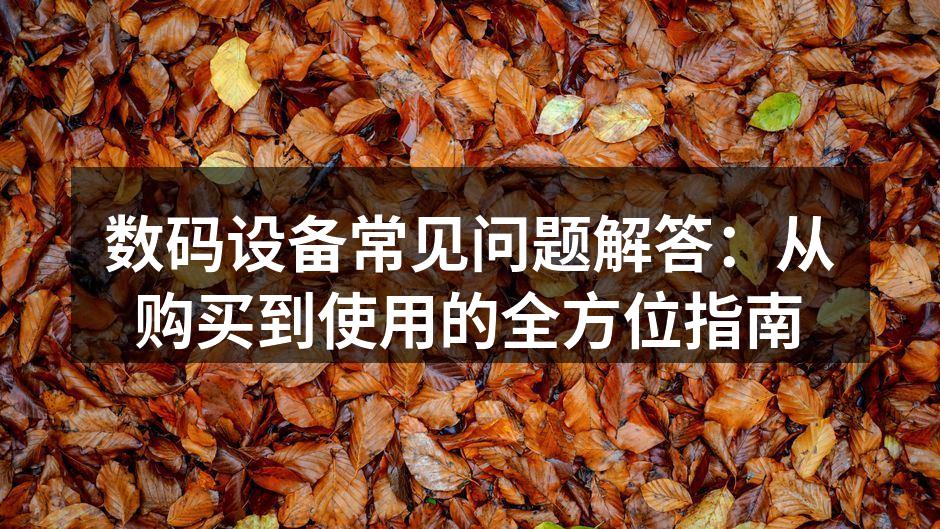 数码设备的多样选择